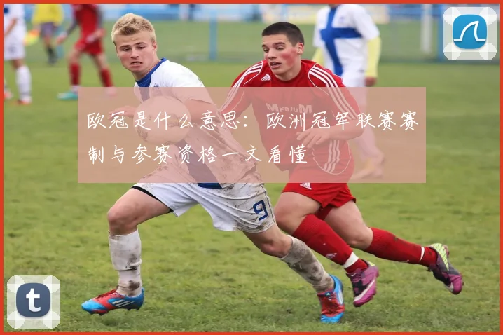 欧冠是什么意思:欧洲冠军联赛赛制与参赛资格一文看懂