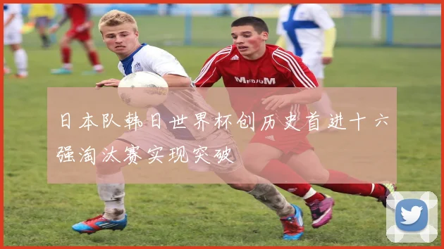 日本队韩日世界杯创历史首进十六强淘汰赛实现突破